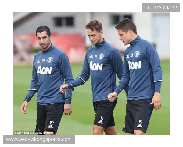 伊布与鲁尼在转化率上出现分化现象形成多点驱动趋势