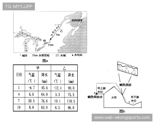 佩德里成长轨迹与状态持续性分析