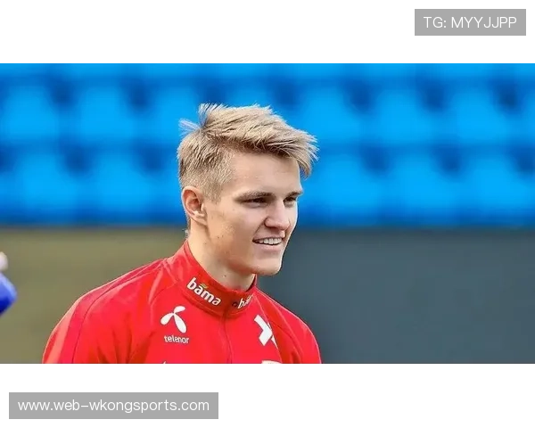 厄德高体系依赖与个人能力的战术适配性分析