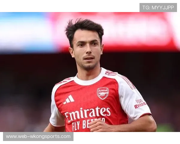 祖比门迪是否依赖体系？战术角色与独立性分析